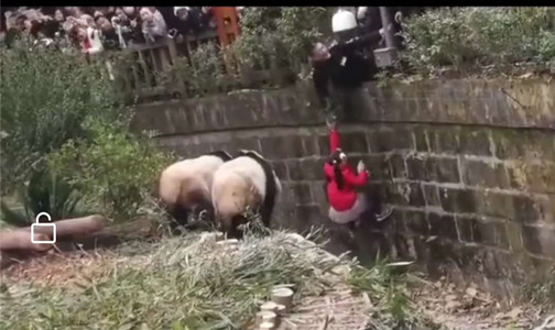 微信图片_20190314132731_副本.jpg 微信图片_20190314132731_副本.jpg