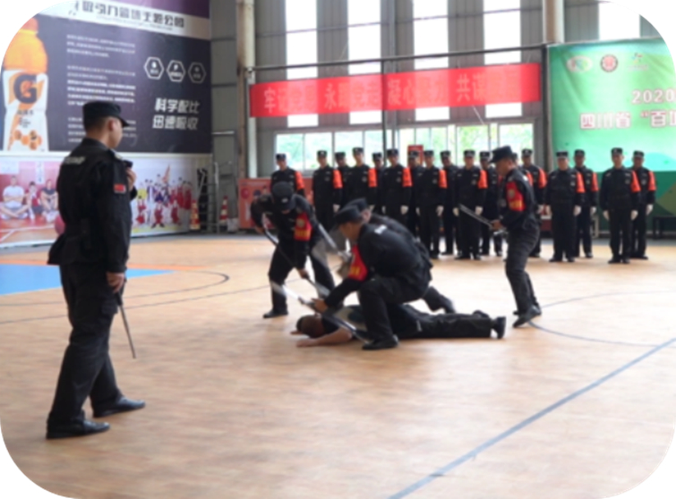 图片3.jpg 图片3.jpg